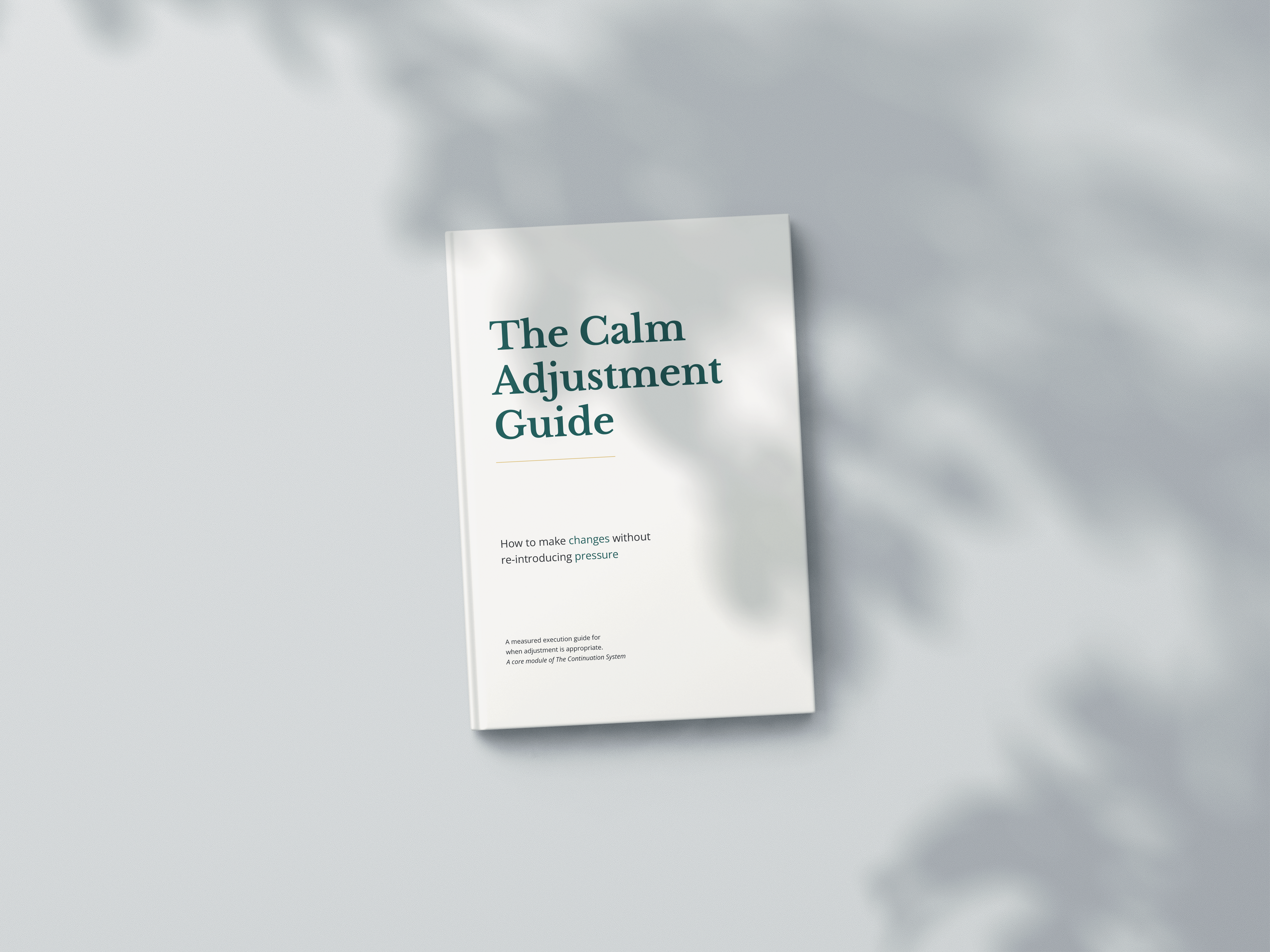 The Calm Adjustment Guide