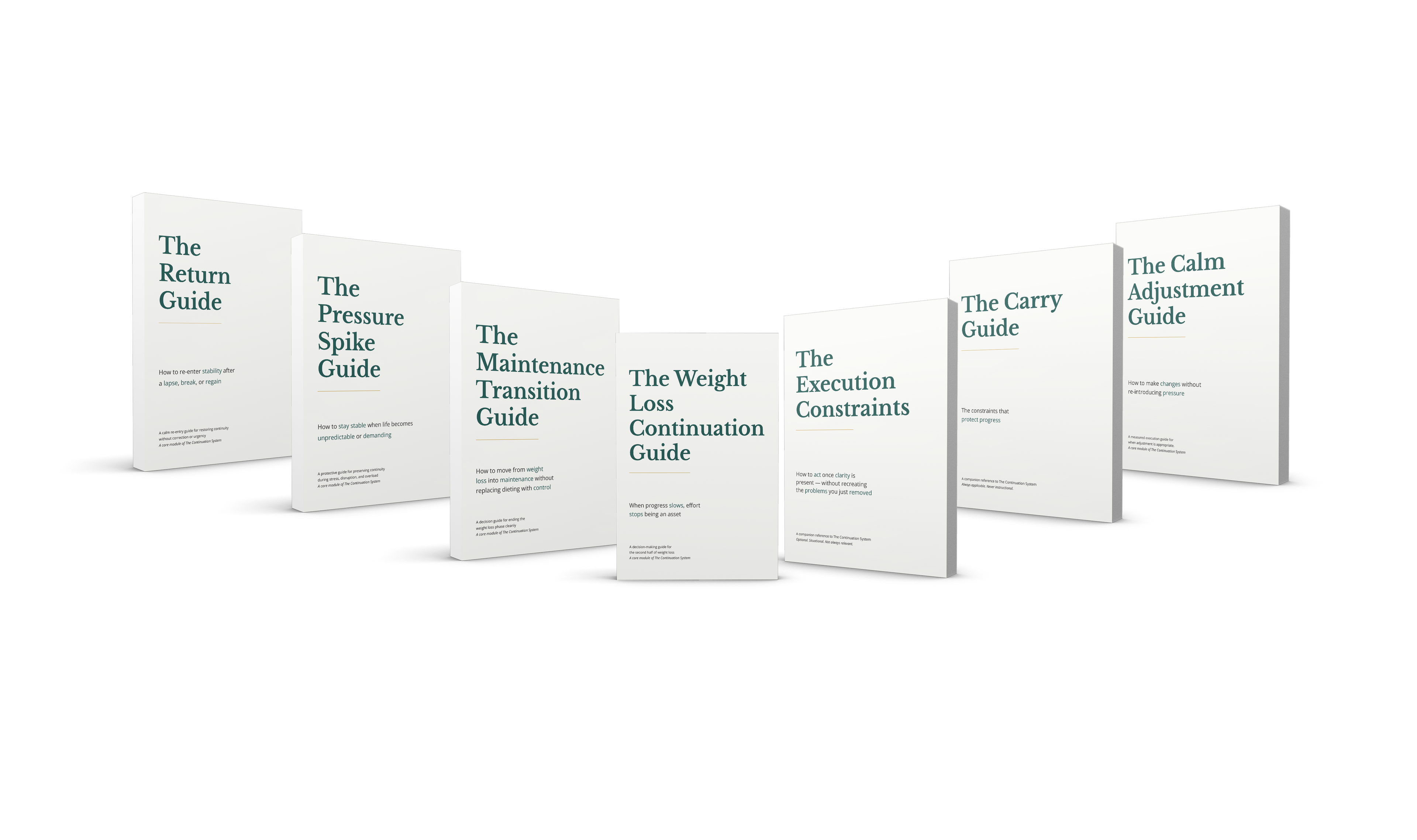 The Continuation System