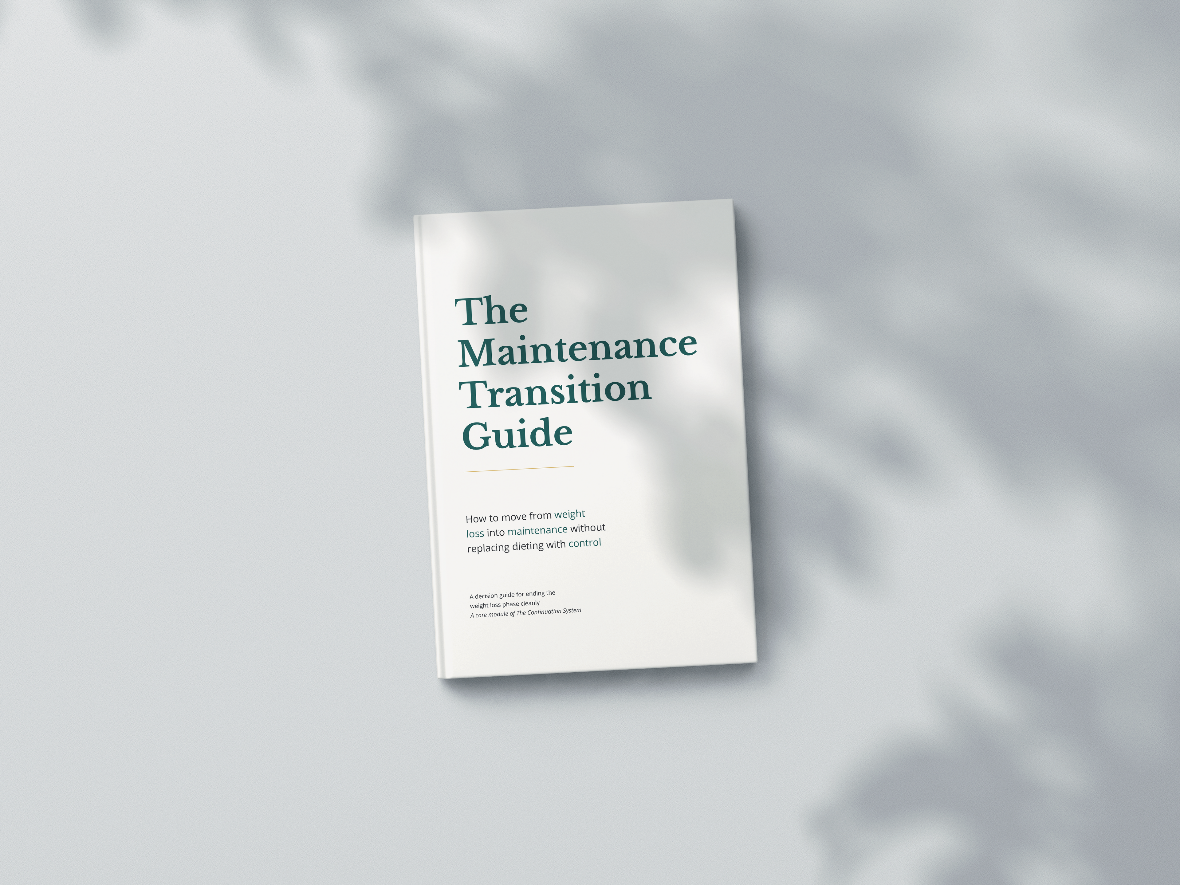 The Maintenance Transition Guide