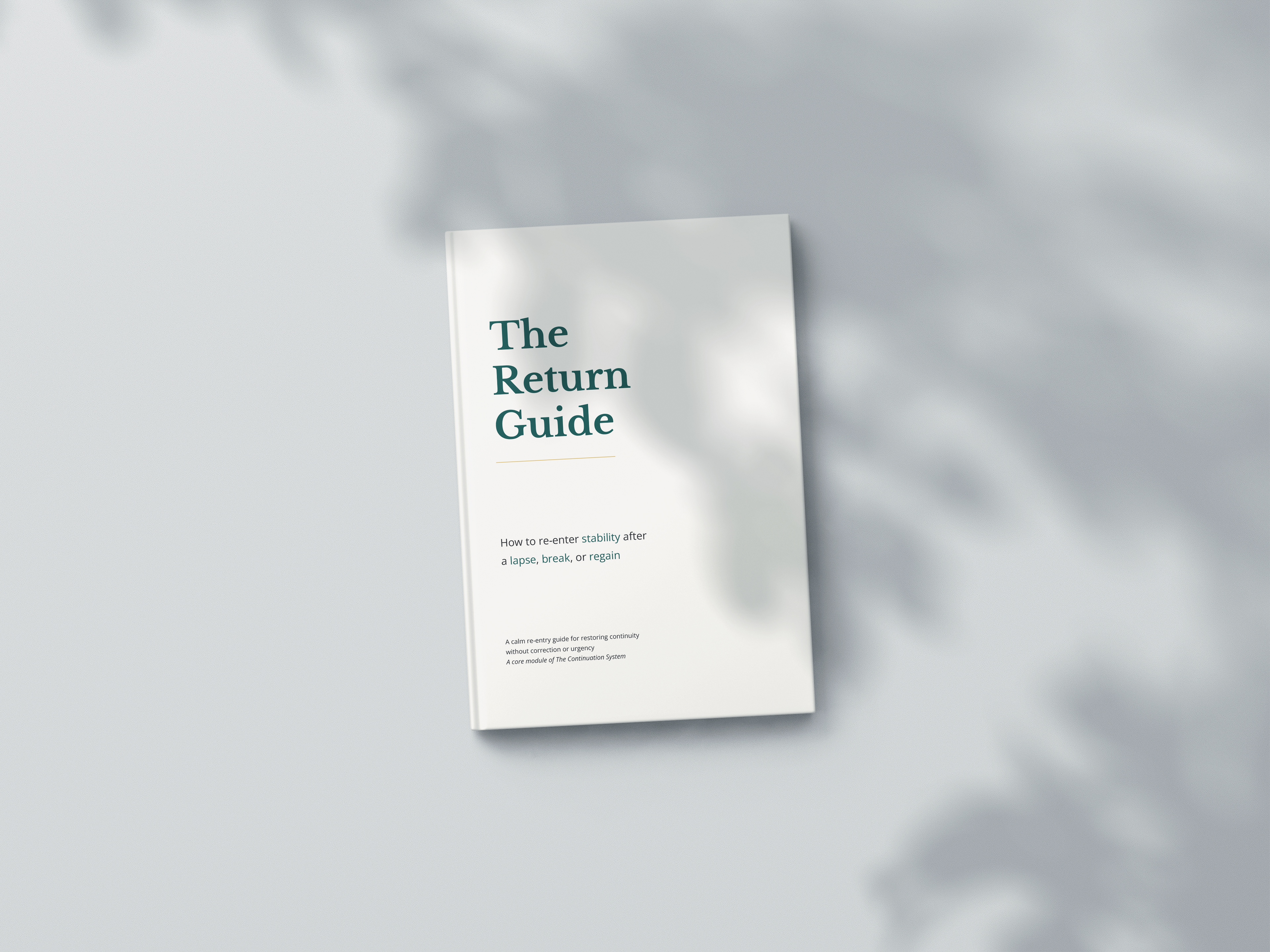 The Return Guide
