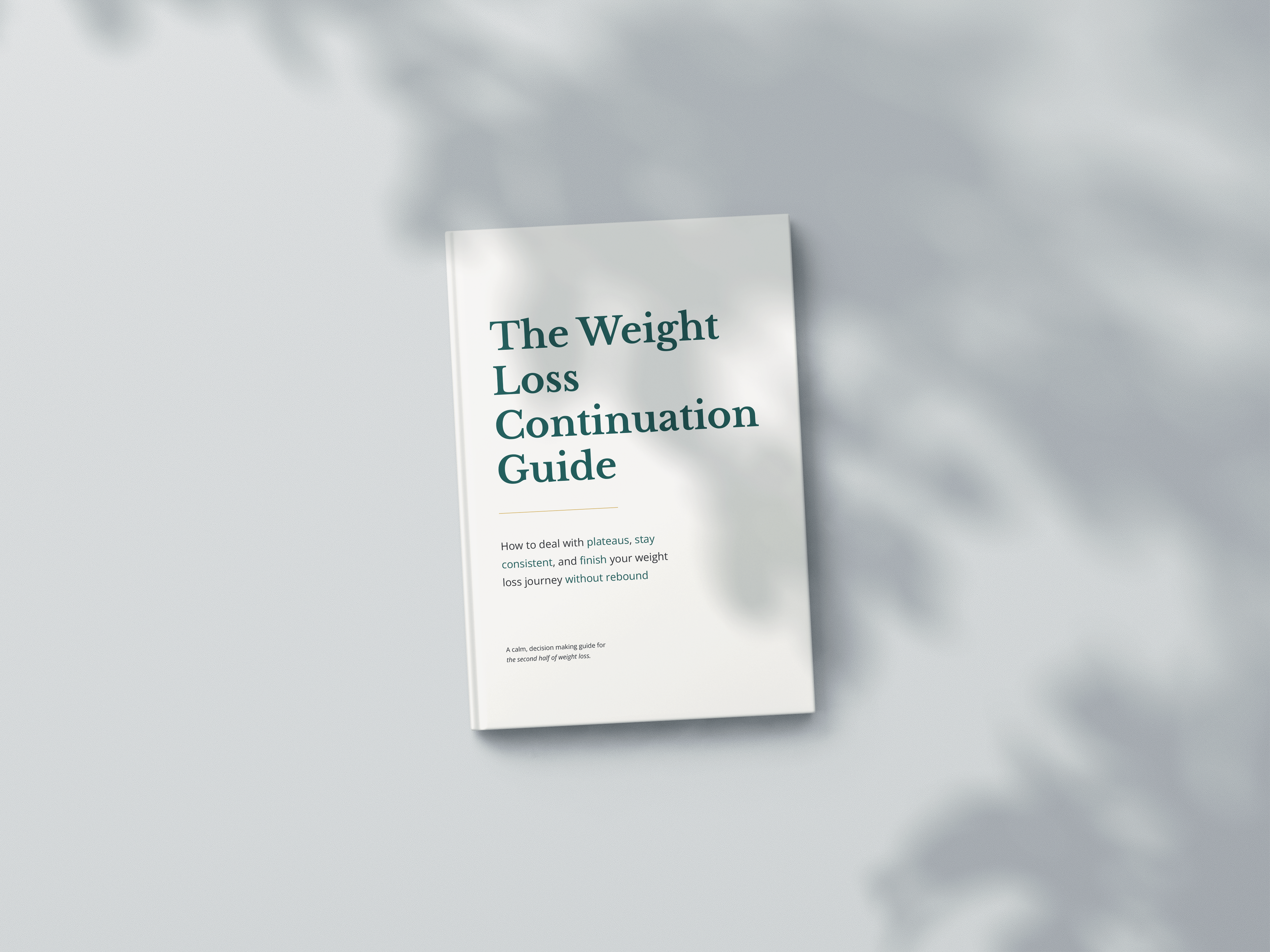 The Weight Loss Continuation Guide